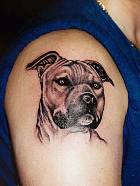 tatouage chien 94