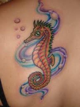 210 tatouage hippocampes