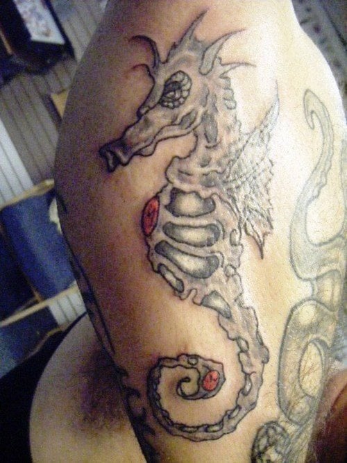 224 tatouage hippocampes