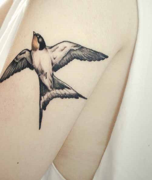 tatouage hirondelle 217