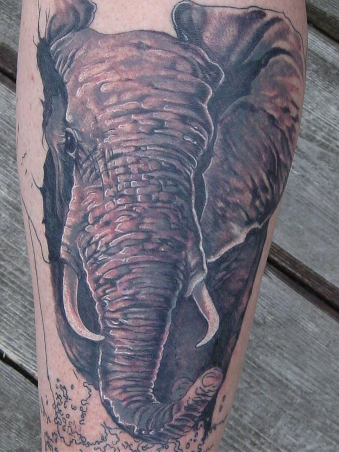 tatouage animal 192