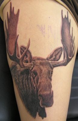 tatouage animal 200