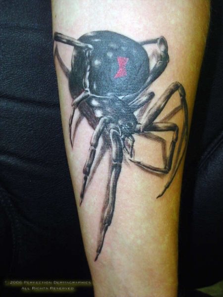tatouage araignée 523