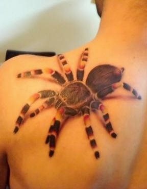 tatouage araignée 524