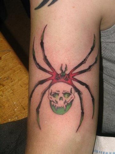 tatouage araignée 535