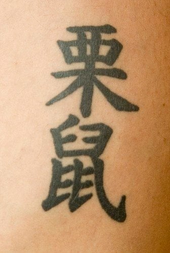 tatouage chinois 515