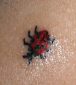 tatouage coccinelle 1008