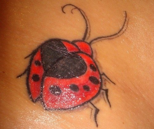 tatouage coccinelle 1015