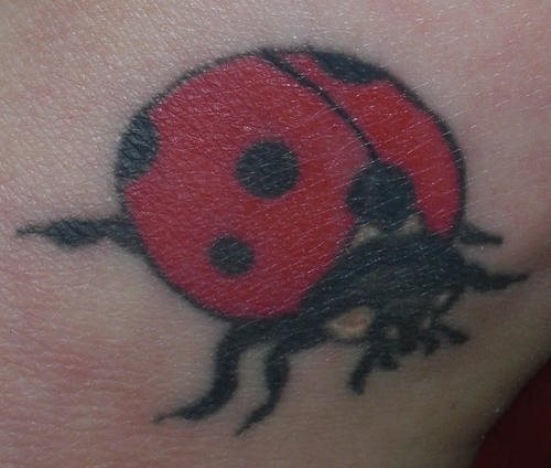 tatouage coccinelle 1018