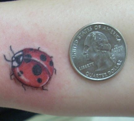 tatouage coccinelle 1019