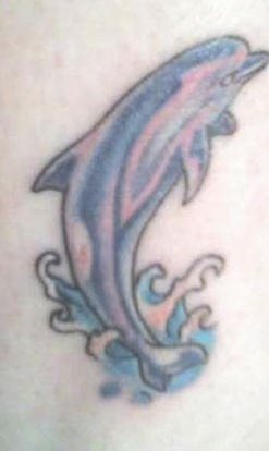 tatouage dauphin 502