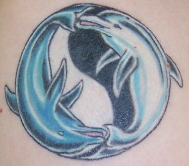tatouage dauphin 519