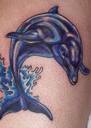 tatouage dauphin 522