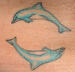 tatouage dauphin 529