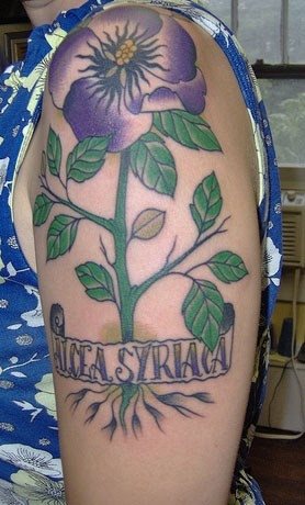 tatouage fleur hibiscus 1008