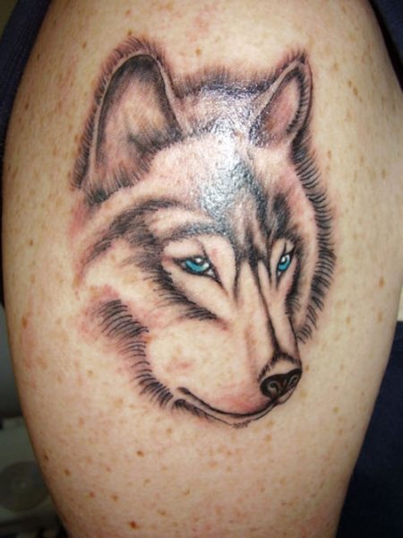 tatouage loup 1002