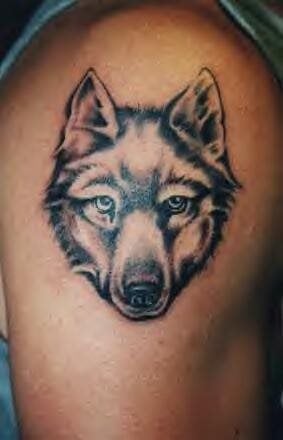 tatouage loup 1003