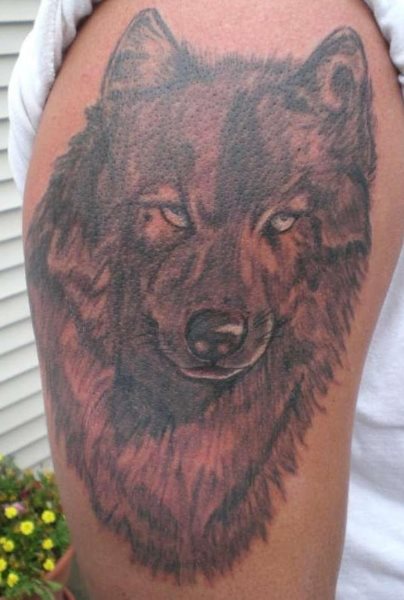 tatouage loup 1010