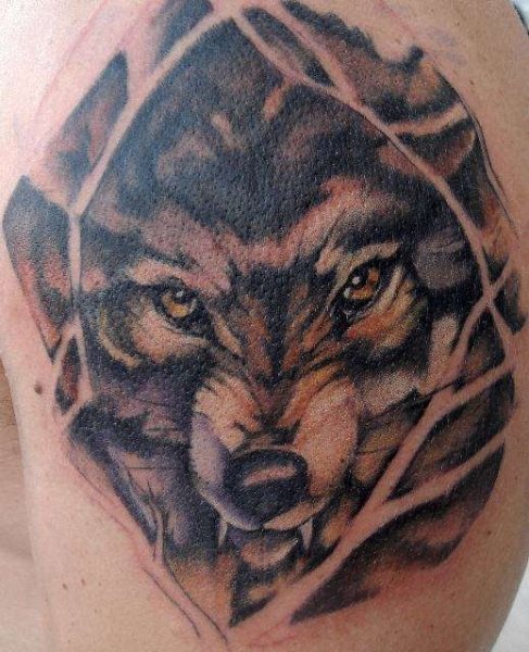 tatouage loup 1011