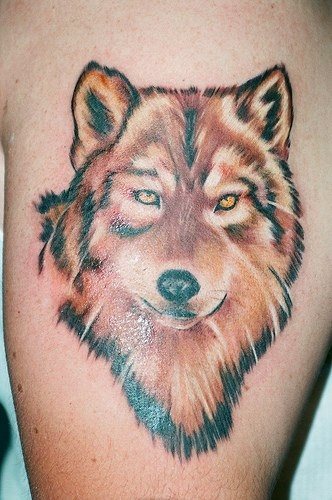 tatouage loup 1020