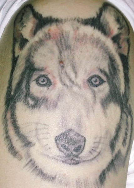 tatouage loup 1031