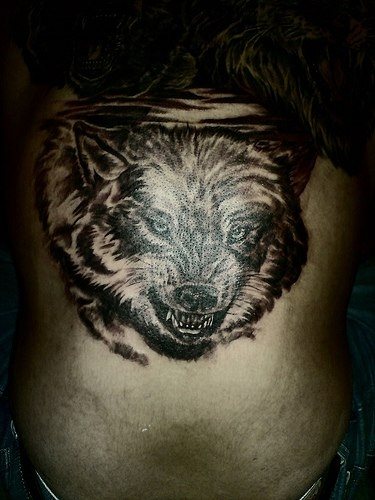 tatouage loup 1036