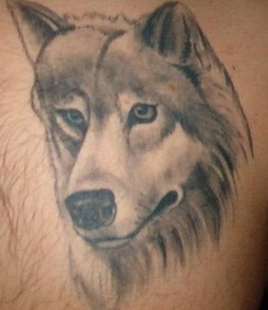 tatouage loup 1038