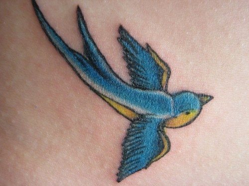 tatouage moineau 1000