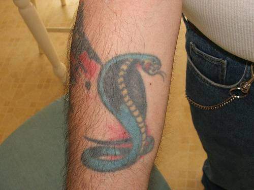 tatouage reptile 1070
