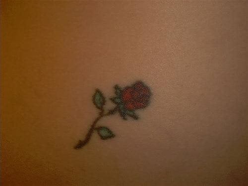 tatouage rose 1025