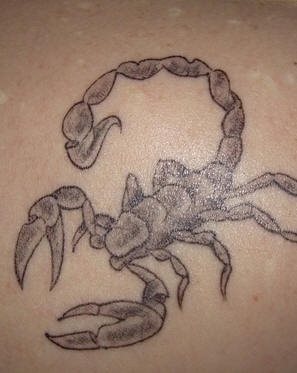tatouage scorpion 1025