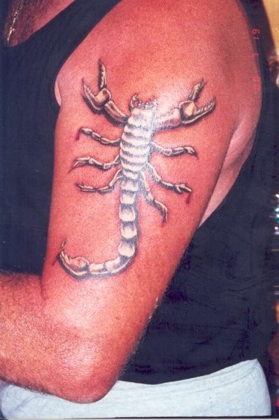 tatouage scorpion 1028