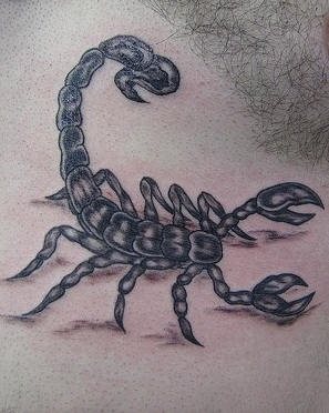 tatouage scorpion 1039