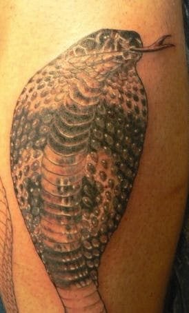 55 Tatouages de serpents de la jungle