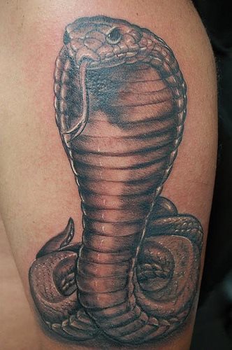 tatouage cobra 04