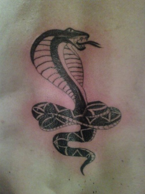 tatouage cobra 05