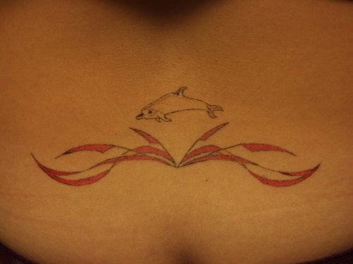 tatouage dauphin 50