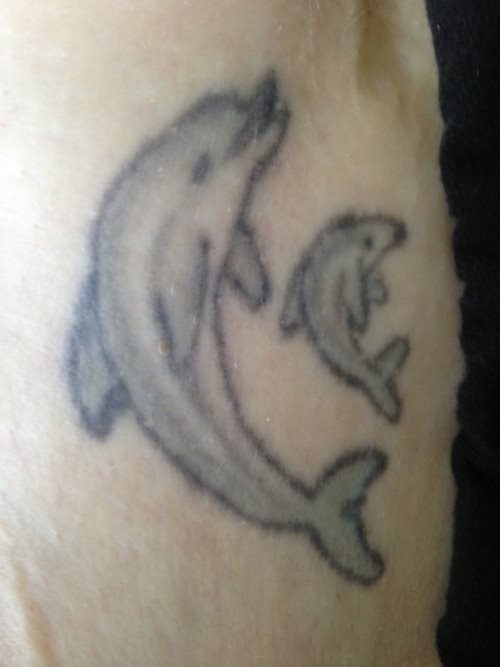 tatouage dauphin 55