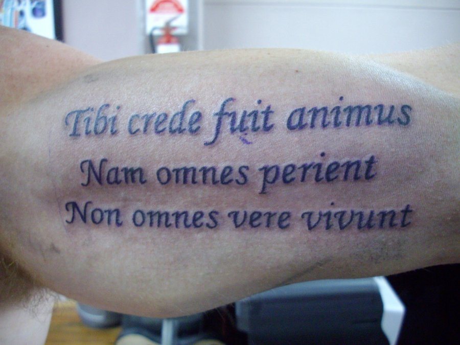 tatouage latin 52