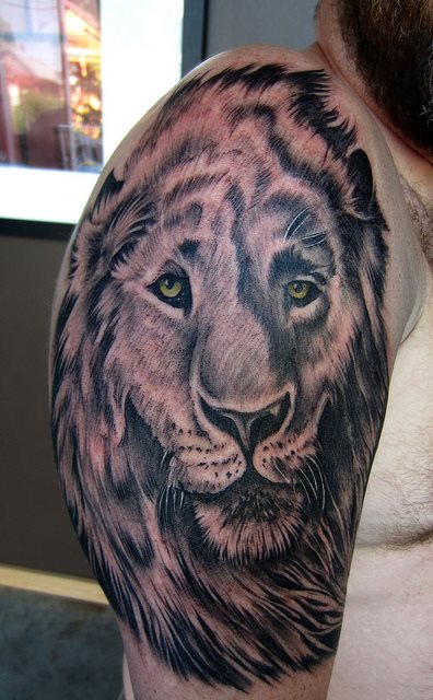 tatouage lion 18