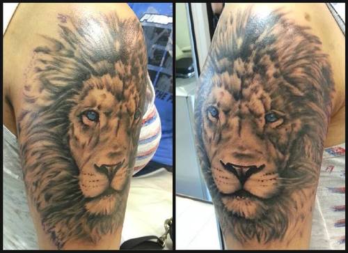 tatouage lion 53