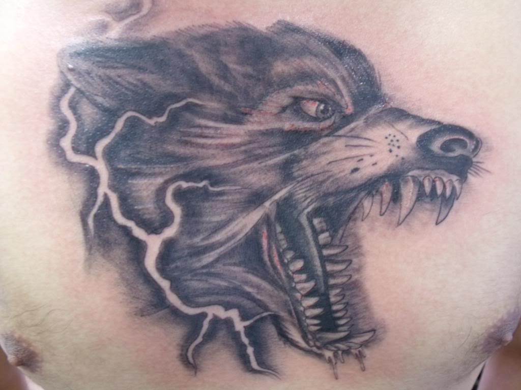 tatouage loup 36