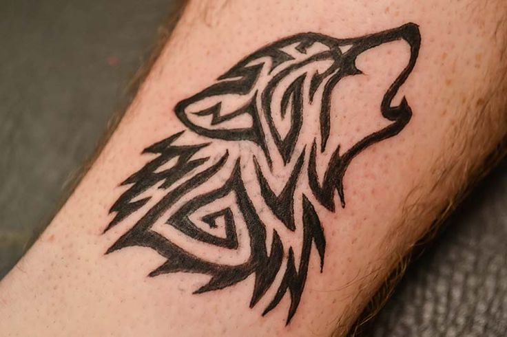 tatouage loup 37