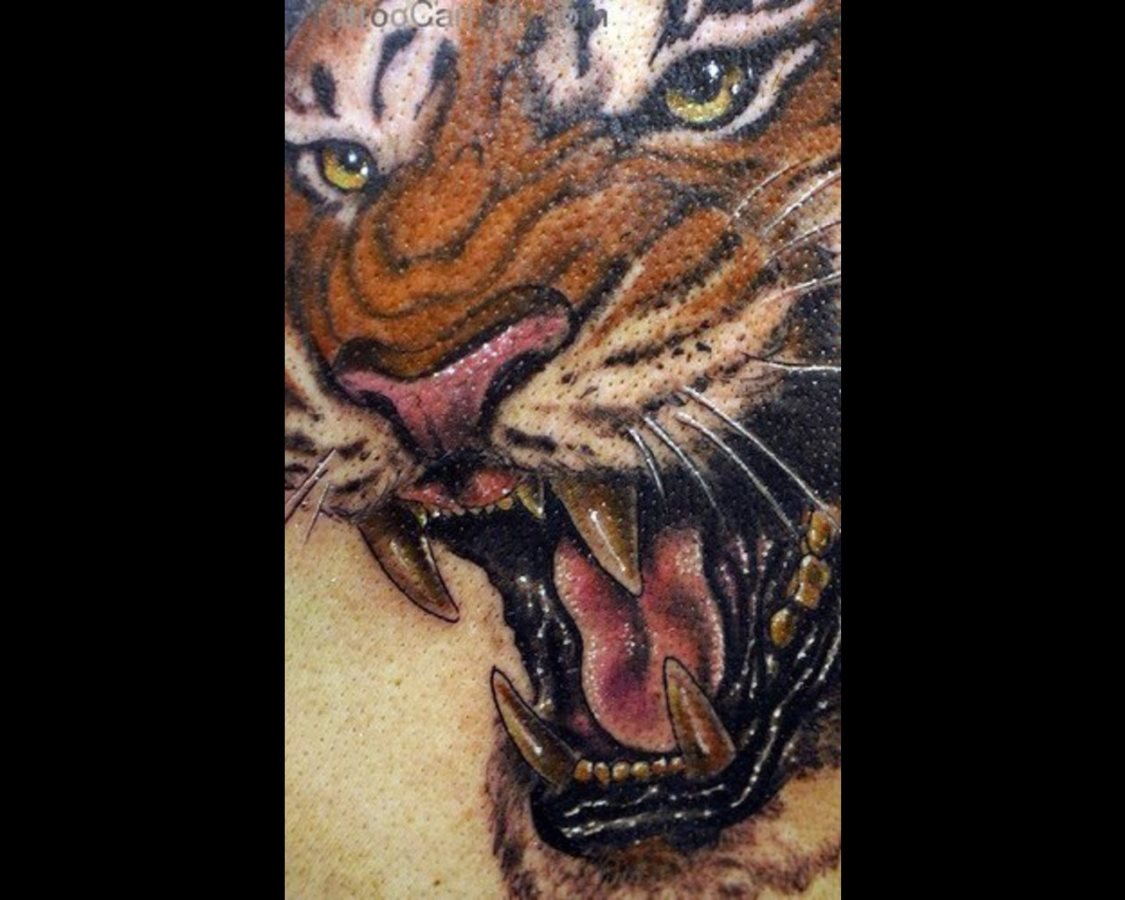 tatouage tigre 05