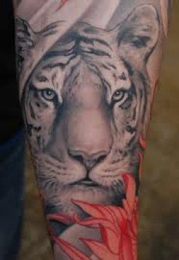 tatouage tigre 19