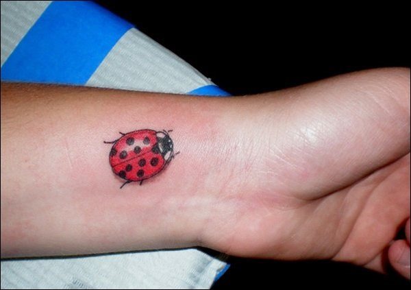 tatouage coccinelle