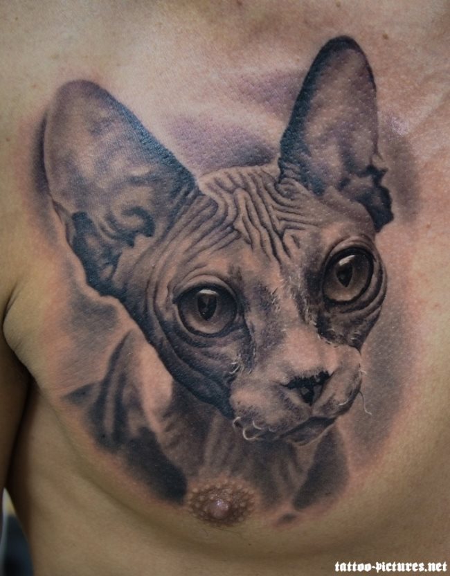 cat tatto 2