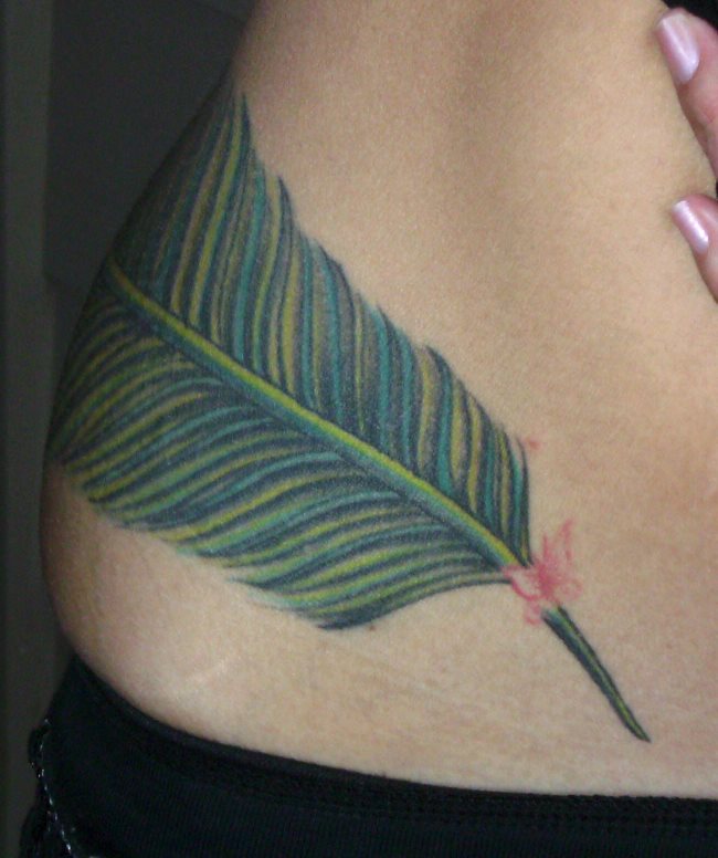 feather tatto 2