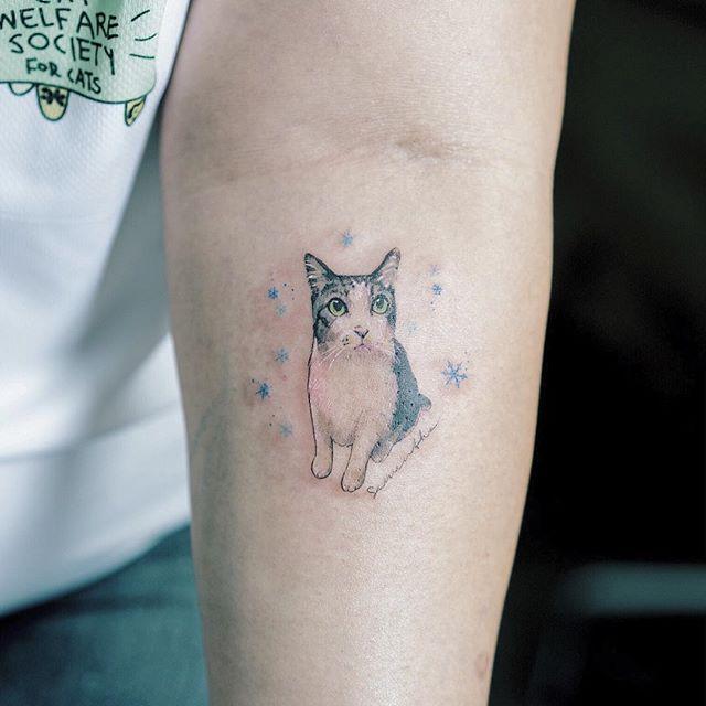 tatouage chat 25