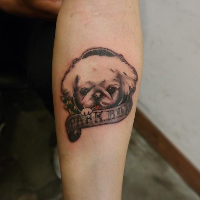tatouage chien 23